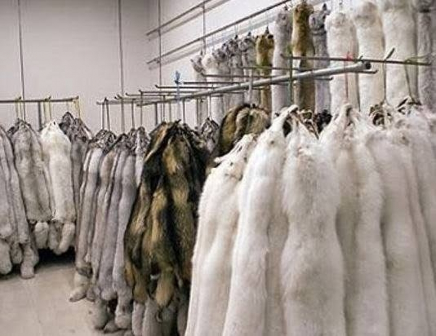 Λουκέτα στην Καστοριά από τις κυρώσεις κατά... της Ρωσίας - Στα όρια τους 2.000 επιχειρήσεις