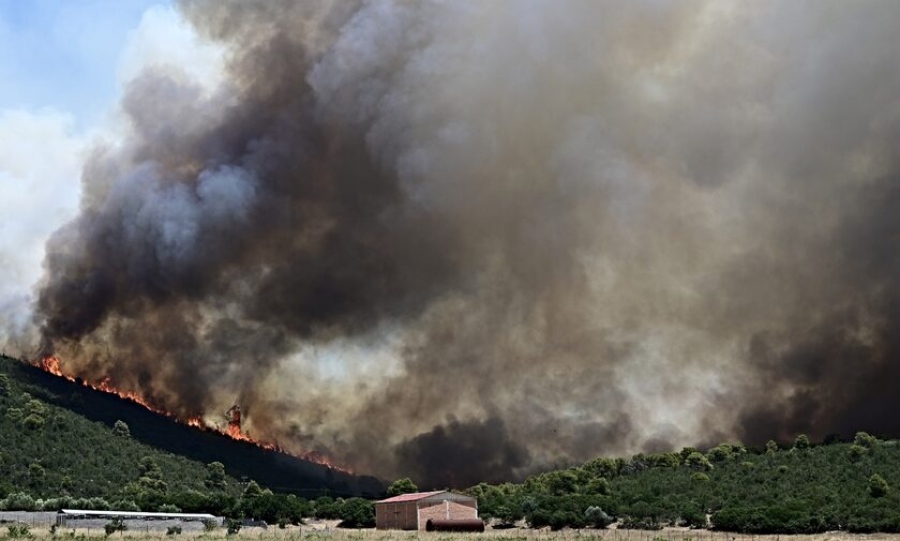 Πυροσβεστική: Μέσα σε 24 ώρες ξέσπασαν συνολικά 69 νέες δασικές πυρκαγιές
