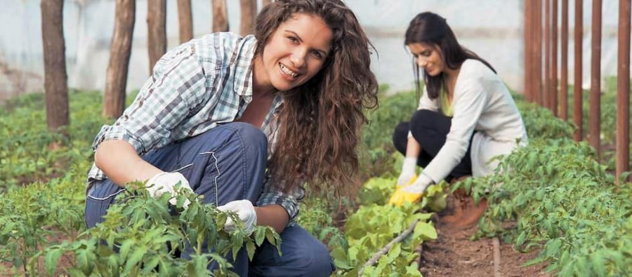 Φόρουμ για τη γυναικεία αγροτική επιχειρηματικότητα