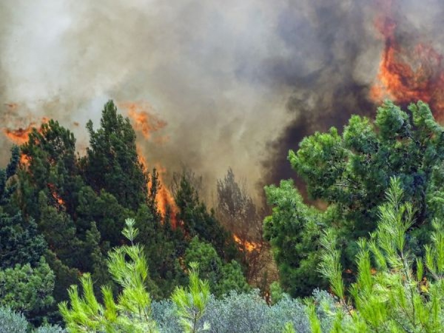 Φωτιά από κεραυνό ξέσπασε στην  Ήπειρο και καίει σε δύσβατη ορεινή περιοχή