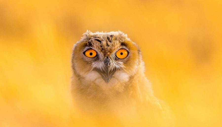 Κάτι η ωραιοποίηση λόγω τέλους 6μήνου κάτι η Standard and Poor’s για λίγο πάμε πάνω