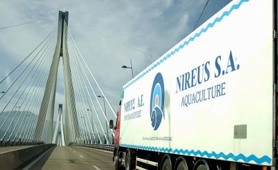 Νηρεύς: Αύξηση μετοχικού κεφαλαίου στα 88,205 εκατ. ευρώ  από μετατροπή ομολογιών σε μετοχές