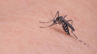 «Καμπανάκι» ΕΟΔΥ για τον ιό του Δυτικοί Νείλου: Προφυλαχθείτε από τα κουνούπια