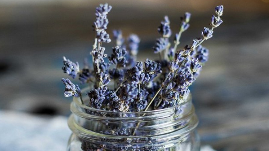 Δημοφιλές φυτό βοηθάει στην καταπολέμηση της κατάθλιψης