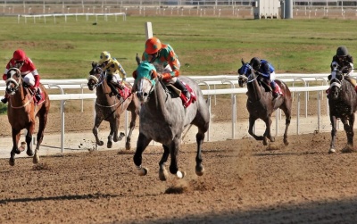Μεγάλος αριθμός νικητών στο ιπποδρομιακό στοίχημα κι αυτή την Κυριακή