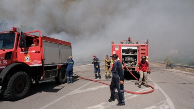 Φωτιά στην Αργολίδα - Καίει ξερά χόρτα μεταξύ Άργους και Νέας Κίου