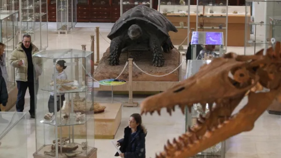 Όταν ζώα της Αφρικής ζούσαν στον... Πηνειό, πριν 100.000 χρόνια - Βρέθηκαν απολιθώματα