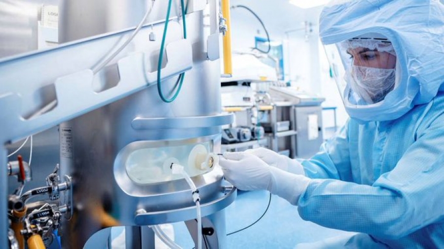 Ανακαλύφθηκε το μεγαλύτερο μικρόβιο του κόσμου - Είναι 5.000 φορές μεγαλύτερο από τα περισσότερα βακτήρια