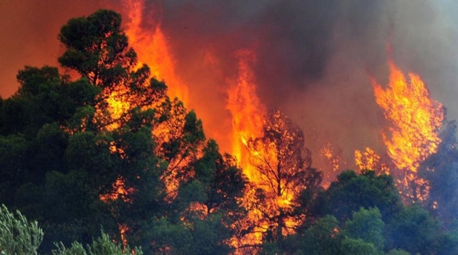 Στις 39 οι δασικές πυρκαγιές στις 15/7 - Πολύ υψηλός κίνδυνος στις 16/7 για Αττική, Στερεά, Αιγαίο, Πελοπόννησο, Κρήτη