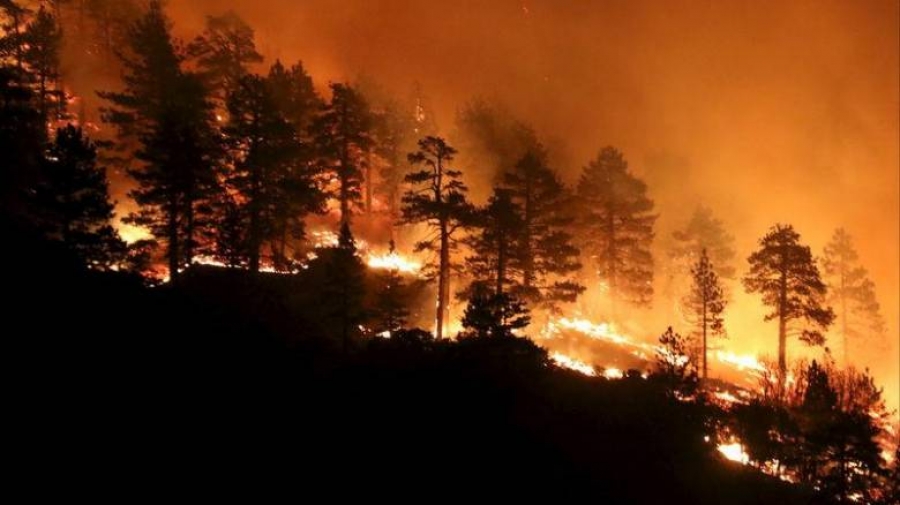 Οι επιστημονικές μελέτες καταρρίπτουν τον μύθο της σύνδεσης κλιματικής αλλαγής με πυρκαγιές – Αιτία η ανεπάρκεια των κυβερνήσεων