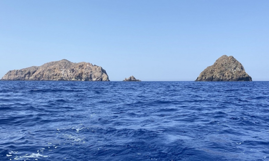 Το WWF «χαιρετίζει» τη δημιουργία των θαλάσσιων πάρκων από την κυβέρνηση Μητσοτάκη