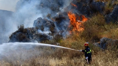 Θεσσαλονίκη - Πυρκαγιά σε αγροτοδασική έκταση, στο Ωραιόκαστρο