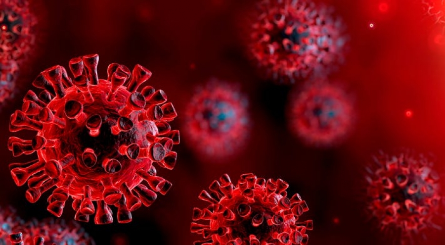 Εκτίμηση σοκ Βέλγου ιολόγου: Μια νέα παραλλαγή του Covid 19 θα είναι θανατηφόρα και θα χτυπήσει τους εμβολιασμένους
