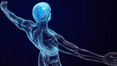 Καινοτόμες τεχνικές στη θεραπεία των παθήσεων της σπονδυλικής στήλης και του εγκεφάλου