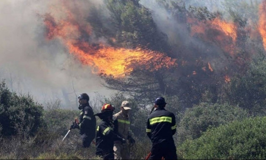 Σε εξέλιξη πυρκαγιά σε δασική έκταση στην Τιθορέα Φθιώτιδας