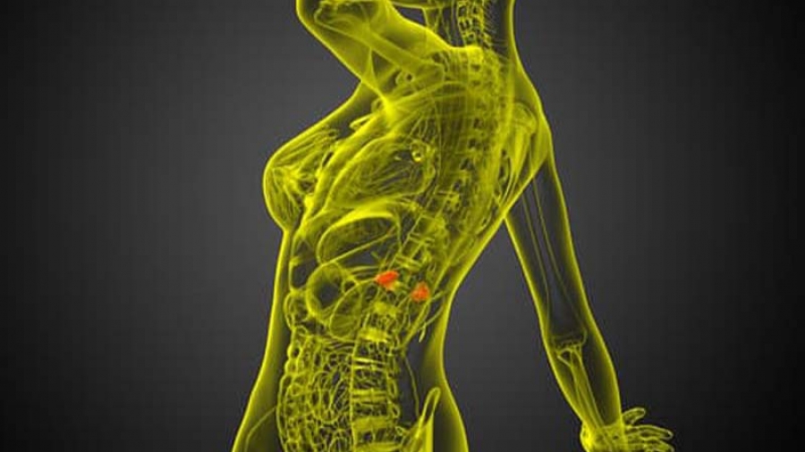 Αδένωμα επινεφριδίου: Τι πρέπει να γνωρίζουμε