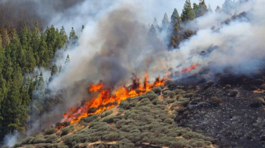 Φωτιά σε περιοχή των Ιωαννίνων – Επιχειρούν 34 πυροσβέστες
