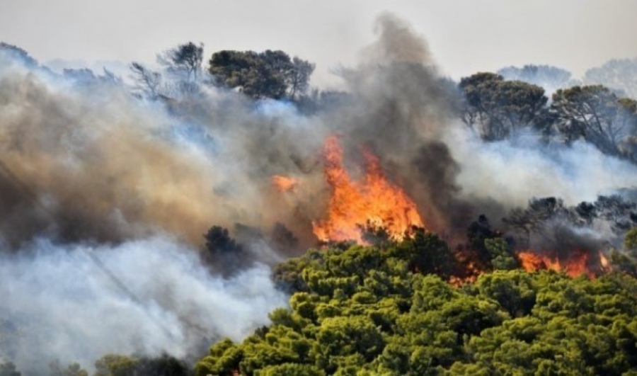 Ολονύχτια μάχη σε 7 πύρινα μέτωπα στην Κεφαλλονιά: Εκκενώθηκαν χωριά - Καίγονται καταπράσινα δάση