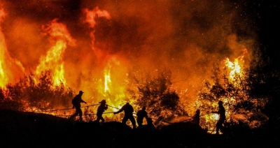 Φωτιά στη Δαδιά: Mάχη για να διασωθεί ένα από τα πιο ευαίσθητα οικολογικά πάρκα της Μεσογείου