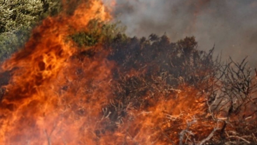 Υπό πλήρη έλεγχο η πυρκαγιά που ξέσπασε στα Βίλια Αττικής