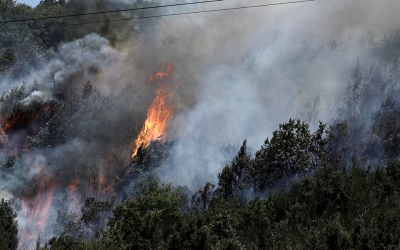 Θεσσαλονίκη: Οριοθετήθηκε και βαίνει προς ύφεση η πυρκαγιά στο Σέιχ Σου