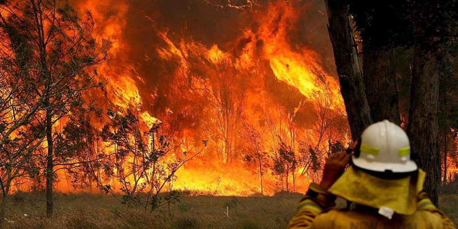 Αυστραλία: Βιβλική η οικολογική καταστροφή, ασύλληπτη η ανθρώπινη τραγωδία