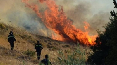 Πυρκαγιά στην περιοχή Περίβλεπτο Μαγνησίας – Δεν απειλούνται κατοικίες