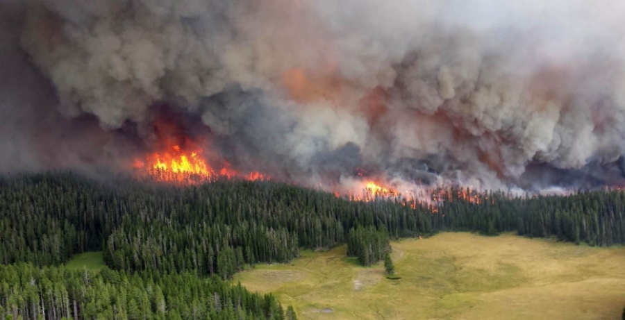 Τεράστια η οικολογική καταστροφή από τις πυρκαγιές στη Σιβηρία - Το τοξικό νέφος έφτασε στα Ουράλια