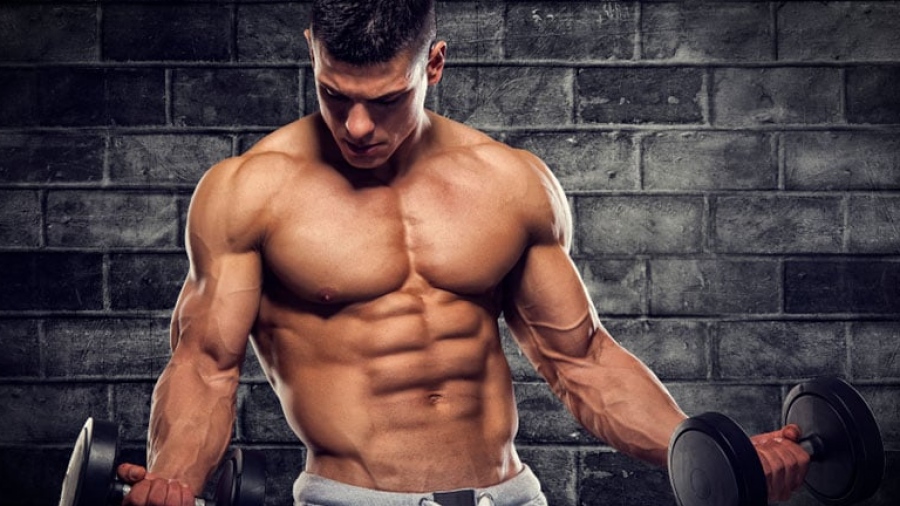 Οι μύες ξέρουν περισσότερα - Από τι εξαρτάται πραγματικά η δύναμη και πώς να την αναπτύξετε