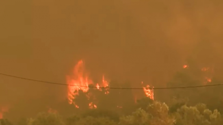 Βίλια: SOS από τον δήμαρχο - «Στα 30 μέτρα από τα σπίτια οι φλόγες, στείλτε εναέρια μέσα»