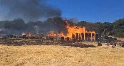 Σύλληψη μελισσοκόμου και πρόστιμο 4.330 ευρώ για φωτιά στο Χορτιάτη Θεσσαλονίκης
