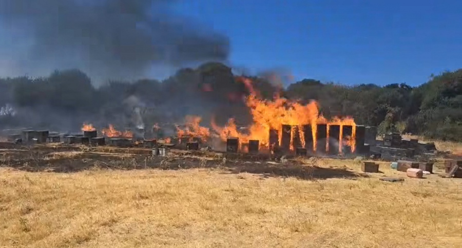 Σύλληψη μελισσοκόμου και πρόστιμο 4.330 ευρώ για φωτιά στο Χορτιάτη Θεσσαλονίκης