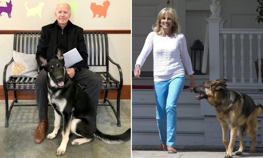 Εκτός Λευκού Οίκου τα σκυλιά του Biden λόγω επιθετικής συμπεριφοράς - Το ένα δάγκωσε φρουρό
