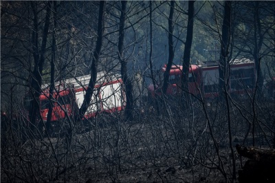 Μεγάλη η καταστροφή από την πυρκαγιά στην Ηλεία -  Ενισχύθηκαν οι πυροσβεστικές δυνάμεις