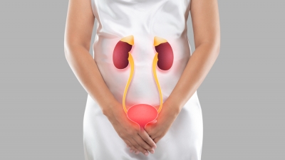 Ουρολοιμώξεις: Πού οφείλονται και πώς αντιμετωπίζονται