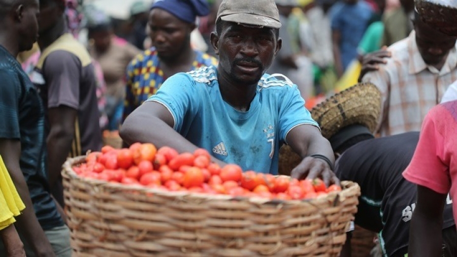 Παγκόσμιος λιμός απειλεί τον πλανήτη: Ήδη ο ΟΗΕ μειώνει τις μερίδες φαγητού που δίνει στους πρόσφυγες