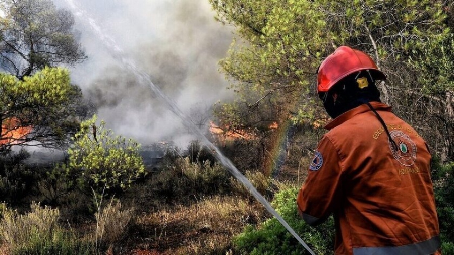 Πυρκαγιά στην Ηράκλεια Ηλείας