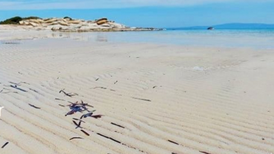 Χαλκιδική: Εξαφανίστηκε η θάλασσα στο Καρύδι Σιθωνίας - Το φαινόμενο της άμπωτης συνεχίζεται