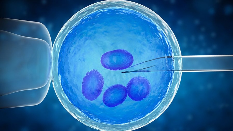 Δέκα συχνές ερωτήσεις για την κατάψυξη ωαρίων