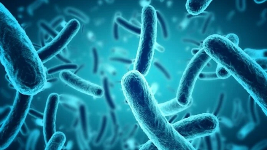 Ποια βακτήρια προκάλεσαν 33.000 θανάτους στην Ευρώπη σε έναν χρόνο; Το SOS των επιστημόνων