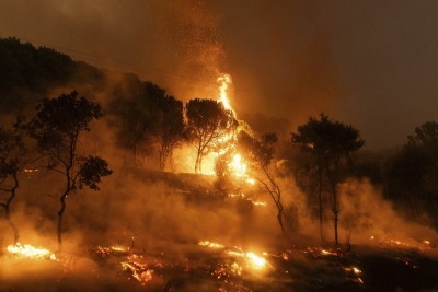 Χωρίς ενεργά μέτωπα πυρκαγιάς ο Έβρος - Επί ποδός οι πυροσβέστες για τον φόβο αναζωπυρώσεων