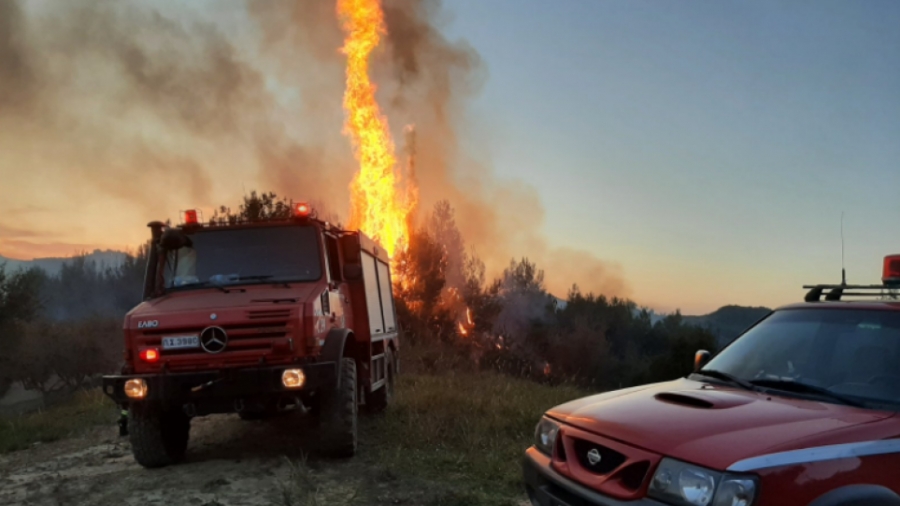 Πυροσβεστική: 55 δασικές πυρκαγιές το τελευταίο 24ωρο σε όλη την Ελλάδα