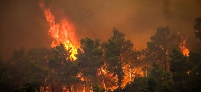 SZ: «Οι πυρκαγιές έχουν και πολιτική πτυχή»