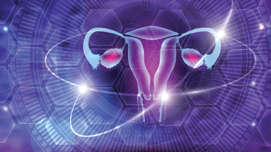 Ελάχιστα επεμβατικές τεχνικές για γυναικολογικές παθήσεις