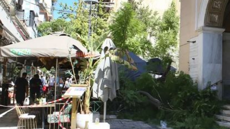 Σοκ στο Μαναστηράκι: Πτώση δέντρου στην πλατεία Αγίας Ειρήνης - Δύο τραυματίες