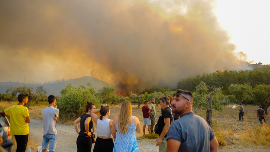 Υπουργείο Εργασίας: Τα μέτρα για πολίτες και επιχειρήσεις που επλήγησαν από τις πυρκαγιές