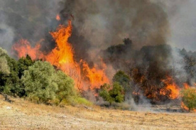 Υπό έλεγχο η πυρκαγιά στη Θεσσαλονίκη, μετά από σκληρή μάχη των πυροσβεστών