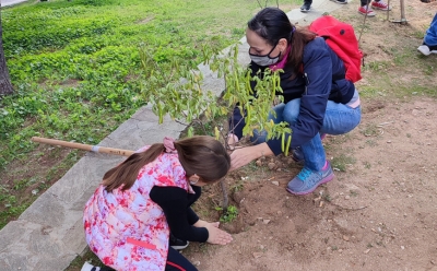 Η Teleperformance Greece συμμετέχει σε μία ακόμα δράση δενδροφύτευσης στον Άλιμο