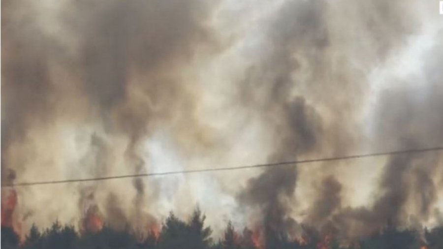 Οι 5 άξονες δράσης για τη στήριξη και την αποκατάσταση των πληγέντων από τις πυρκαγιές