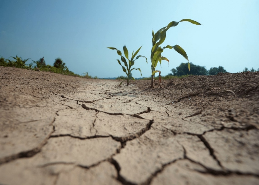 Αυτές οι περιοχές της Ελλάδας πλήττονται από ακραία ξηρασία